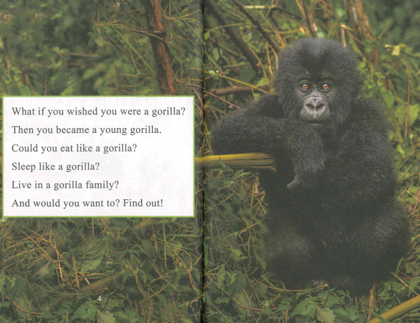 I Wish I Was a Gorilla: Level 1 (Paperback)