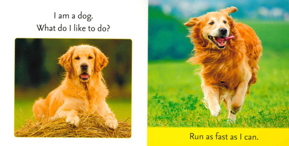 Pet Animals: STEAM Beginnings (Board Book)-Clearance Book/Non-Returnable