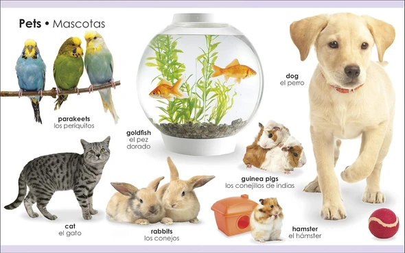 My First Bilingual Animals (Spanish/English) (Board Book)