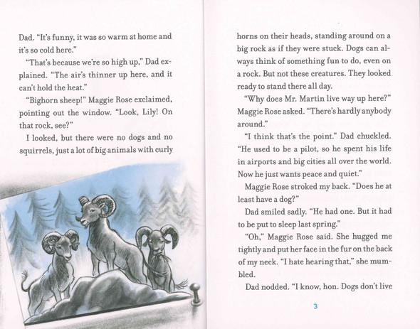 Foxes in a Fix: Lily to the Rescue! (Paperback)