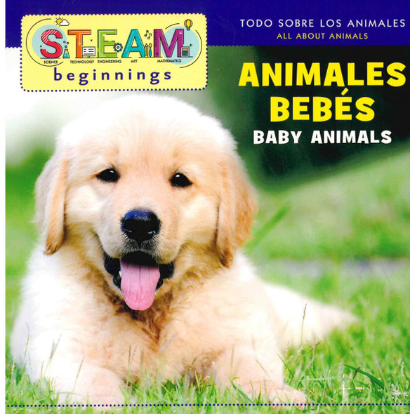 Baby Animals (Spanish/English) STEAM Beginnings (Board Book)-Clearance Book/Non-Returnable