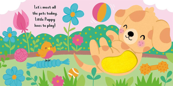 Pet Friends: Neon Touch-and-Feel (Board Book)-Clearance Book/Non-Returnable