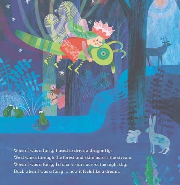 When I Was a Fairy (Hardcover)