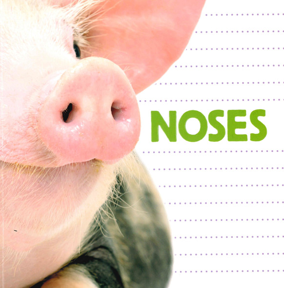 Nose: What Animal Has a Nose Like This? (Paperback)