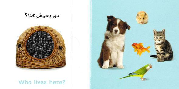 Who Lives Here? Pets (Arabic/English) (Board Book)
