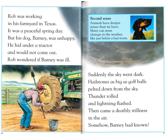 Twisters Level 2 (Paperback)