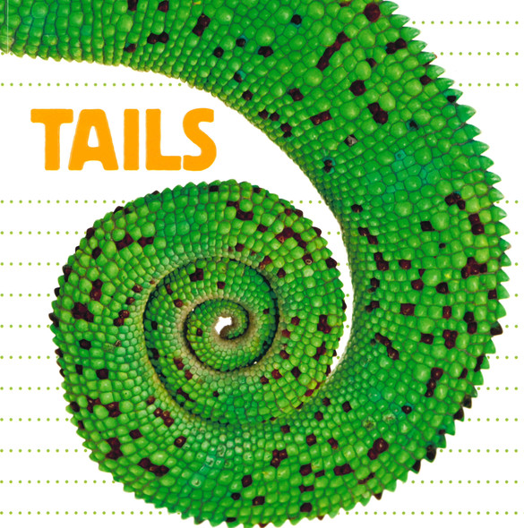 Tails: What Animal Has a Tail Like This? (Paperback)-Clearance Book/Non-Returnable