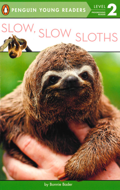 Slow, Slow Sloths Level 2 (Paperback)