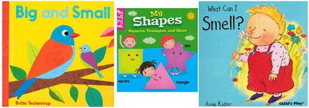 45 Book Bundle - Opposites, Shapes and Senses (D)