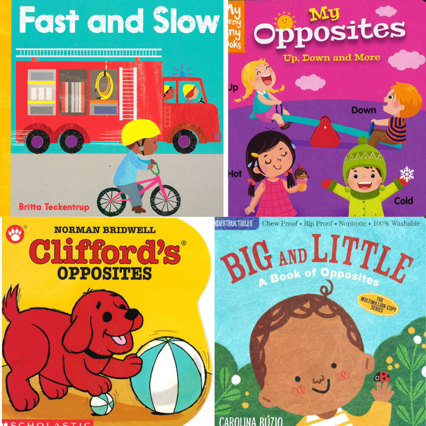 20 Book Bundle - Let's Learn Opposites!
