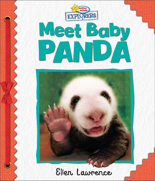 Meet Baby Panda: Active Minds Explorers (Padded Board Book)
