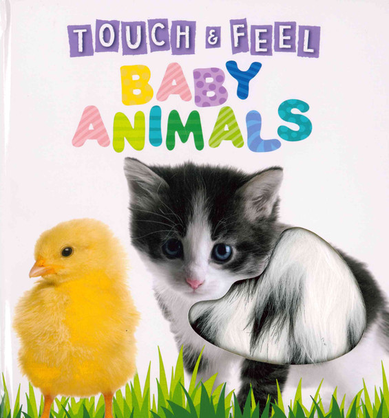 Baby Animals: Touch & Feel (Board Book)