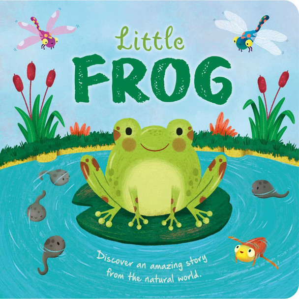 Little Frog: Natural Stories (Padded Board Book)