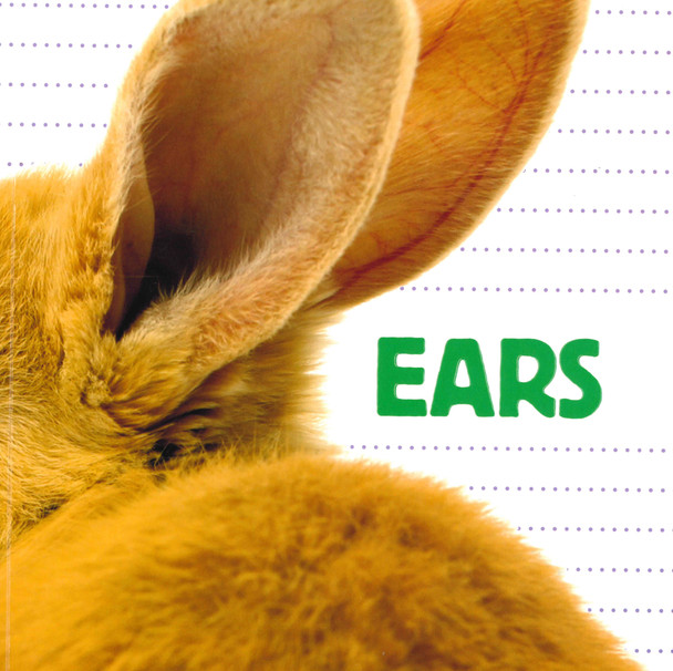 Ears: What Animal Has Ears Like These? (Paperback)