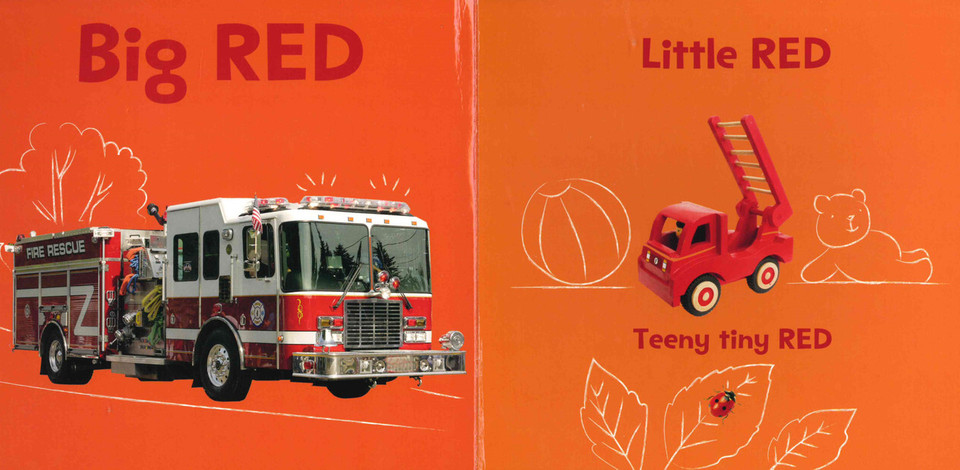 First Colors Book (Board Book)* - Books By The Bushel