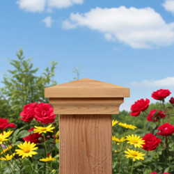 NEWPORT CEDAR POSTACP