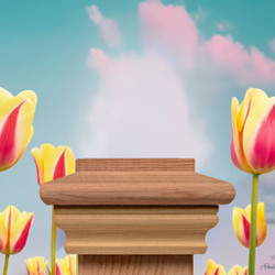 Great Point Cedar Post Cap by Nantucket