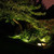 Dekor Outdoor LED Puck Light – Landscape Uplight by Dekor