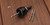Starborn Smart Bit Pro Plug Tool for Wood