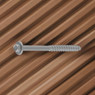 LedgerLok Ledger Board Fastener