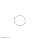 Bedford 15-460 PTFE O-Ring 164846 (LAST ONE IN STOCK)
