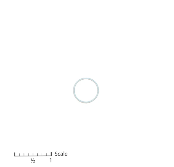 Prosource 195136 PTFE O-Ring 
