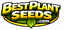 Best Plant Seeds