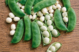 Henderson Lima Beans