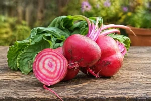 Chioggia Bassano Beet Seeds