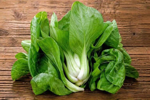 Pak Choi Cabbage
