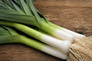 American Flag Leek