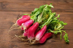 French Breakfast Radish