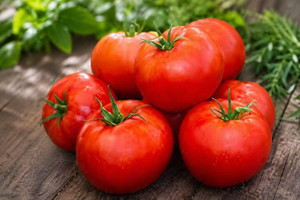 Ace 55 Tomatoes