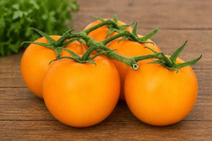 Jubilee Tomato