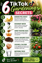 6 TikTok Gardening Secrets