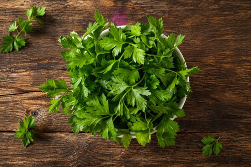 Plain Italian Parsley