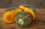Burgess Buttercup Squash