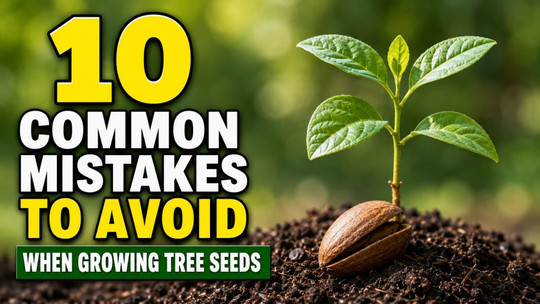 10 Common Mistakes to Avoid When Growing Tree Seeds