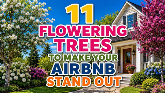 11 Flowering Trees to Make Your Airbnb Stand Out
