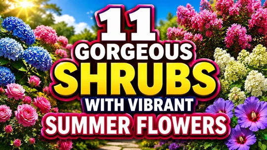 11 Gorgeous Shrubs with Vibrant Summer Flowers