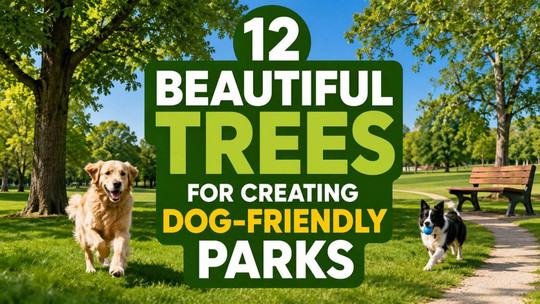 12 Beautiful Trees for Creating Dog-Friendly Parks