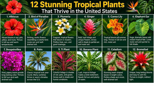 12 Stunning Tropical Plants That Thrive in the United States