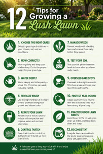 12 Tips for Growing a Lush Lawn