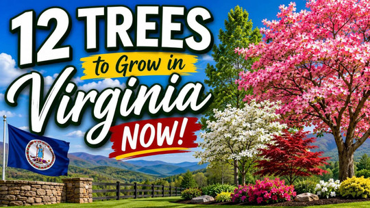 12 Trees to Grow in Virginia Now
