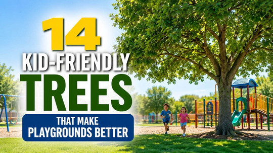 14 Kid-Friendly Trees That Make Playgrounds Better