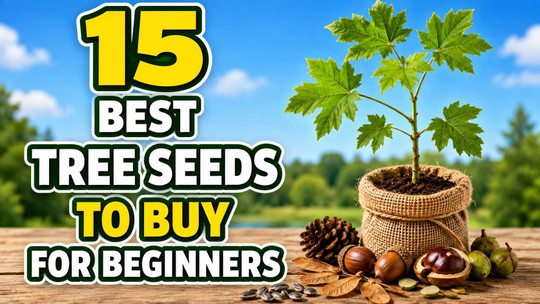 15 Best Tree Seeds to Buy for Beginners