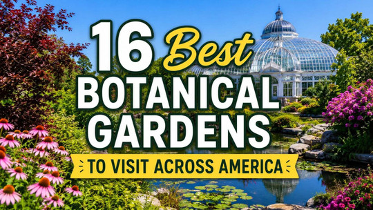 16 Best Botanical Gardens to Visit Across America