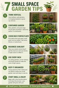 7 Small Space Garden Tips