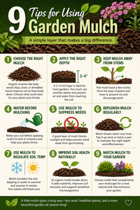 9 Tips for Using Garden Mulch