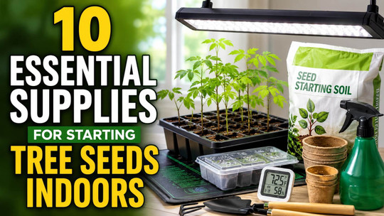 10 Essential Supplies for Starting Tree Seeds Indoors